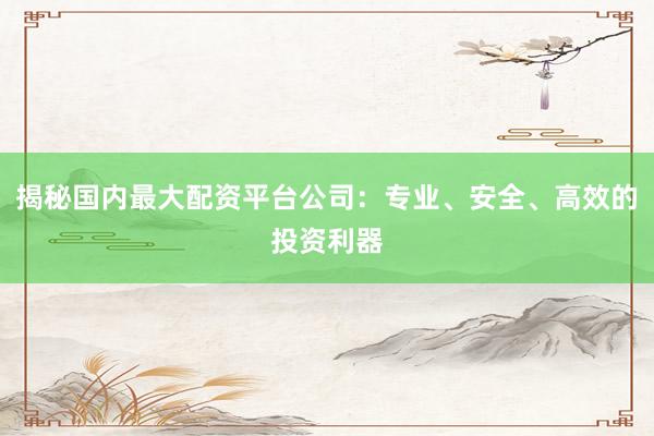 揭秘国内最大配资平台公司：专业、安全、高效的投资利器