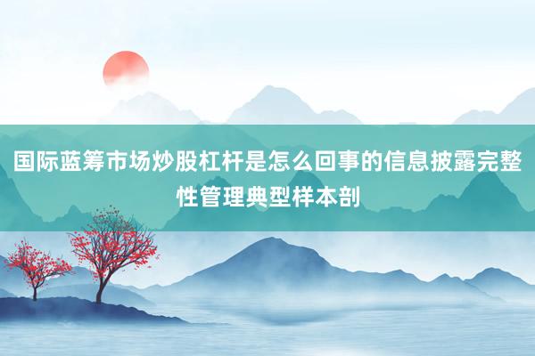 国际蓝筹市场炒股杠杆是怎么回事的信息披露完整性管理典型样本剖