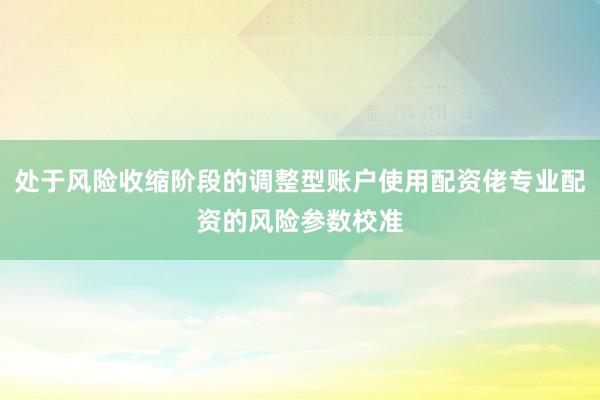 处于风险收缩阶段的调整型账户使用配资佬专业配资的风险参数校准