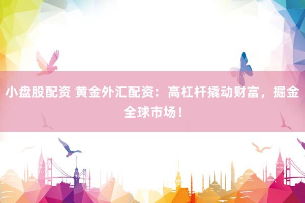 小盘股配资 黄金外汇配资：高杠杆撬动财富，掘金全球市场！