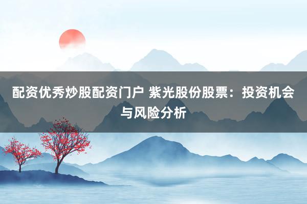 配资优秀炒股配资门户 紫光股份股票：投资机会与风险分析