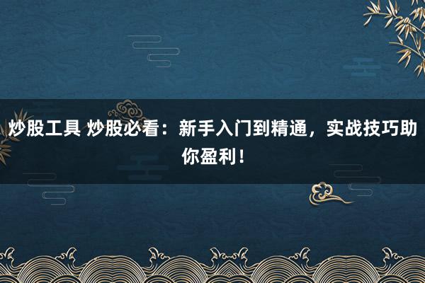 炒股工具 炒股必看：新手入门到精通，实战技巧助你盈利！